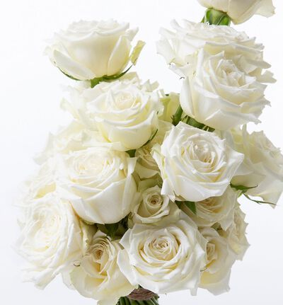 Hvit og stilren softice brudebukett med roser 
